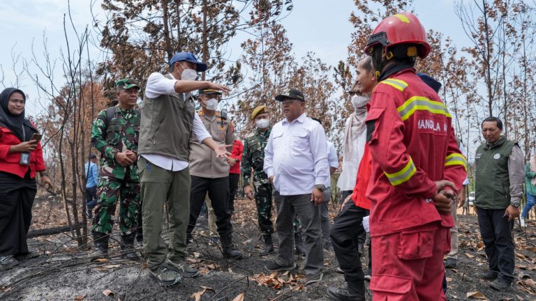 El Nino Menguat, Menhut Raja Antoni Gaspol Operasi Modifikasi Cuaca untuk Tekan Karhutla