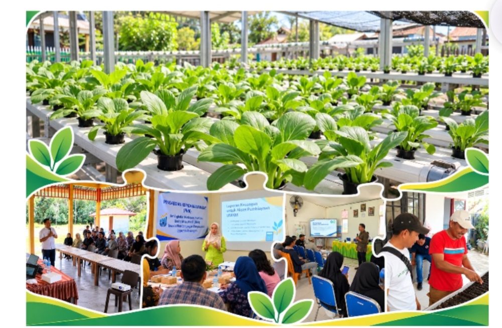 Universitas Khairun Perkuat Kesiapan Investasi UMKM BUMDes Posi-Posi melalui Pendampingan Keuangan Berbasis Teknologi